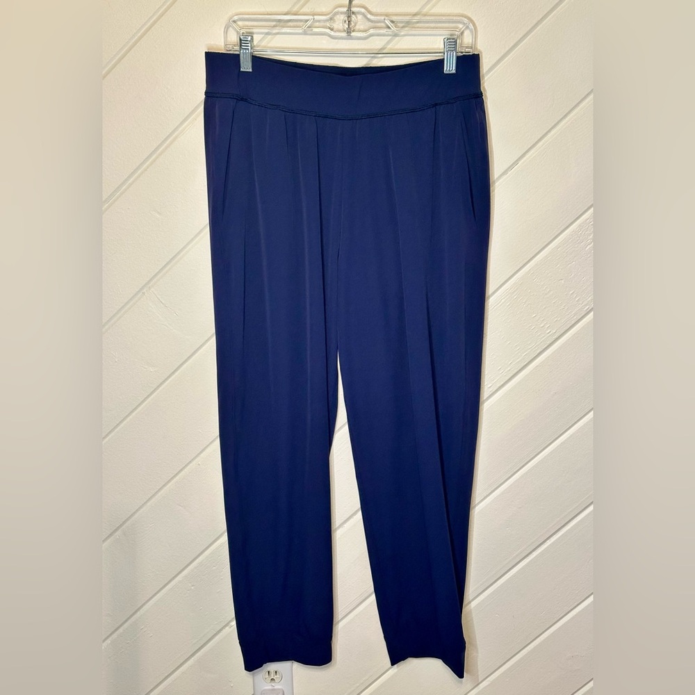 Cotopaxi Adventure Joggers in Blue, Size XL
